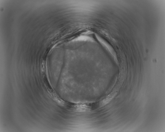 X0000062140528200601060926