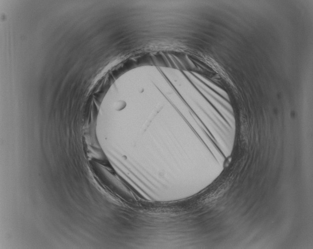 X0000062140530200601060925