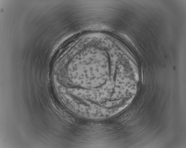 X0000062140531200601060925