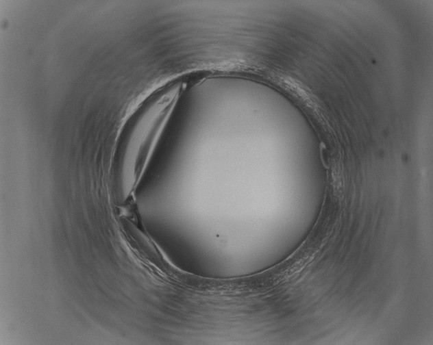 X0000062140532200601060925