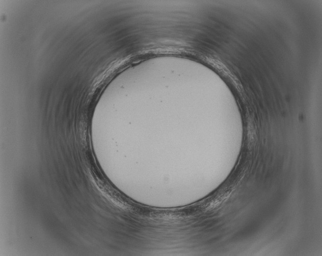 X0000062140533200601060925