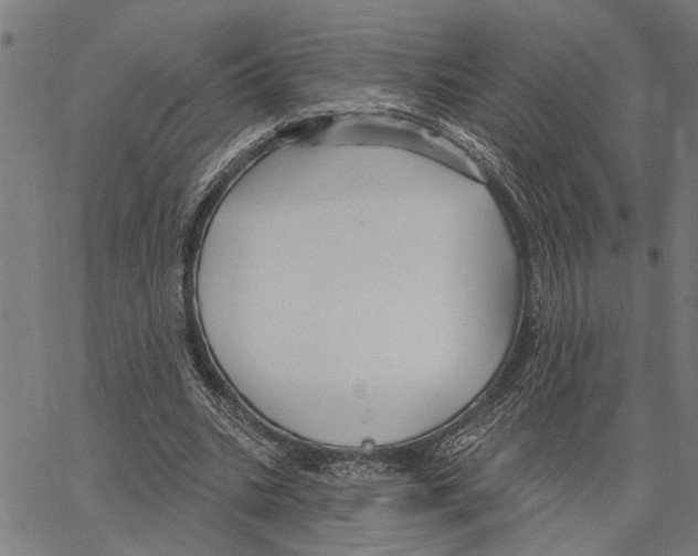 X0000062140535200601060926