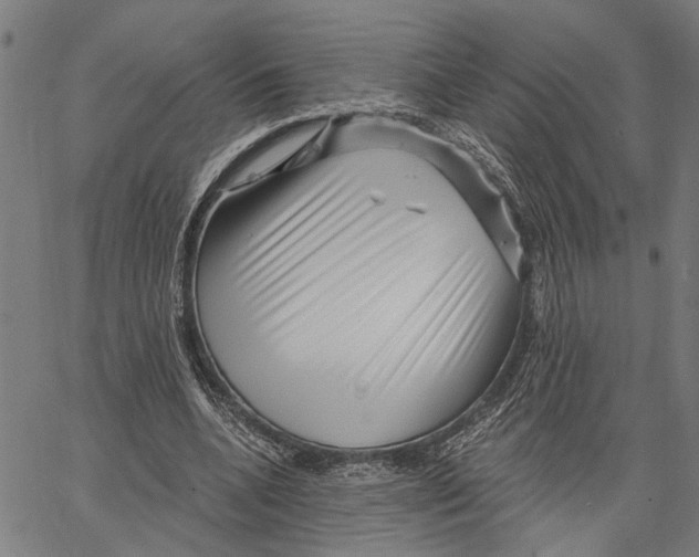 X0000062140536200601060926