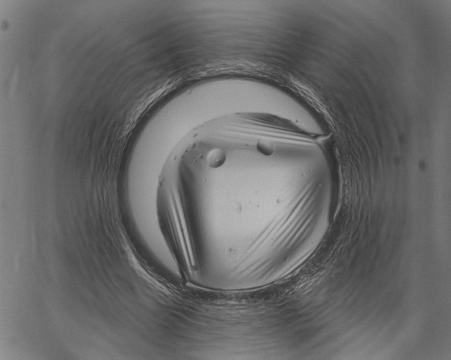 X0000062140538200601060926