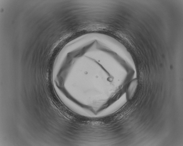 X0000062140539200601060926