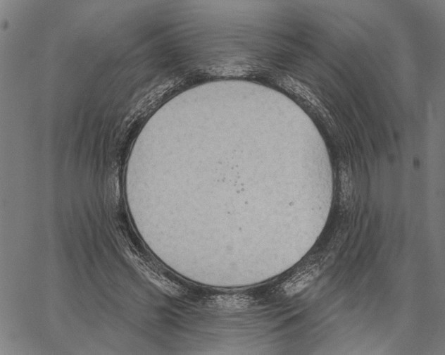 X0000062140541200601060926