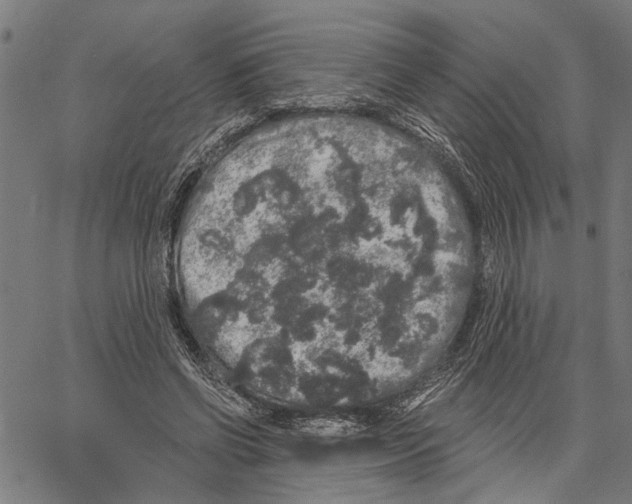 X0000062140542200601060926