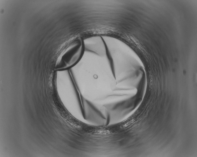 X0000062140543200601060926