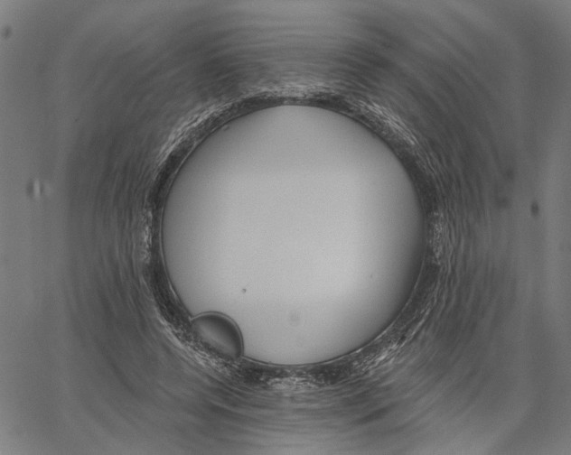 X0000062140544200601060926