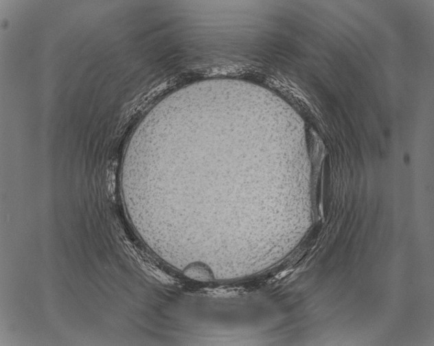 X0000062140545200601060926