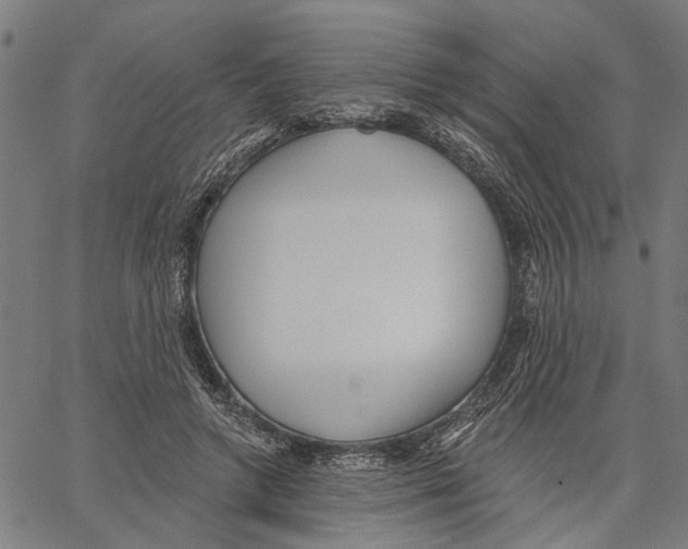 X0000062140546200601060926