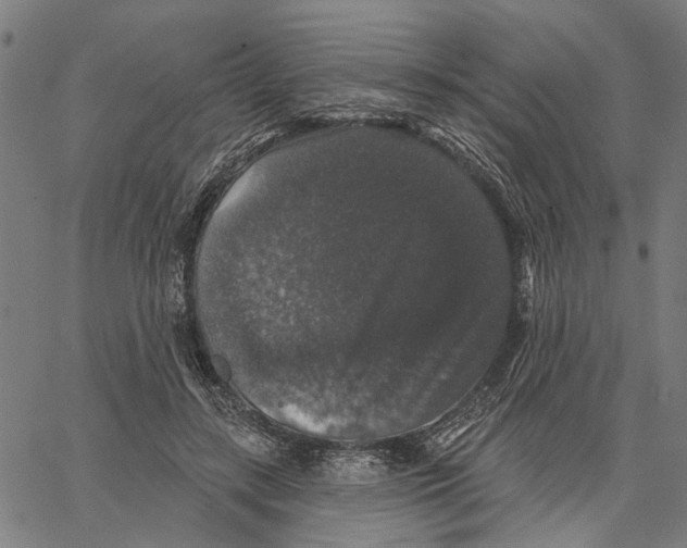 X0000062140547200601060926