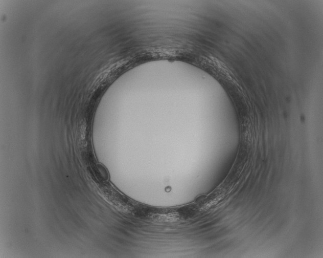 X0000062140548200601060926