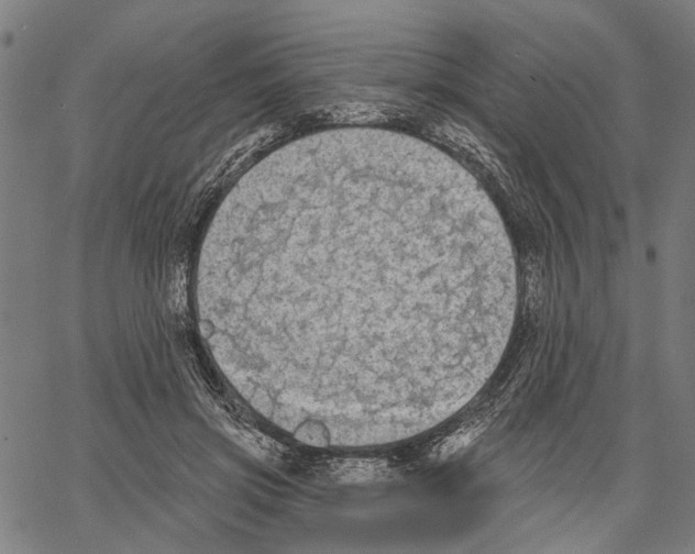 X0000062140549200601060926