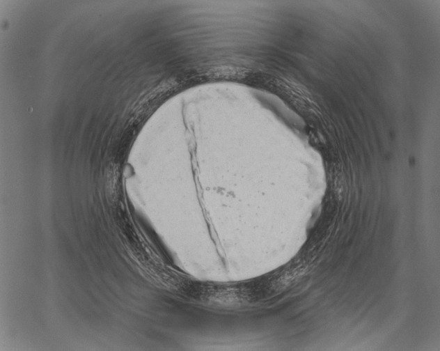 X0000062140550200601060926