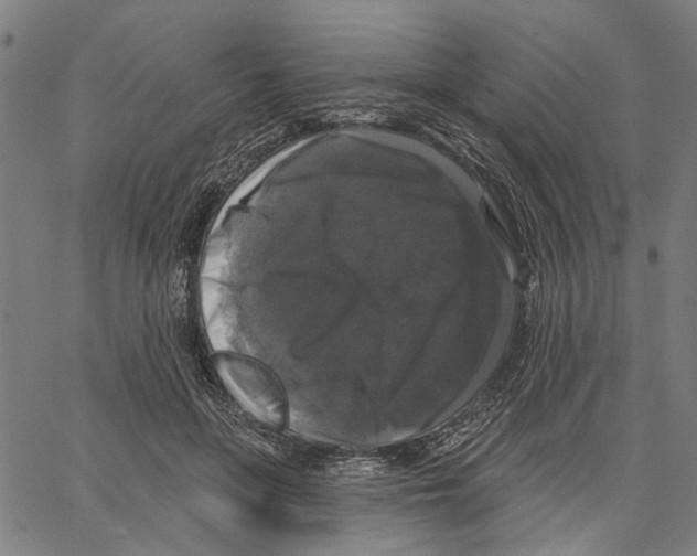 X0000062140551200601060926