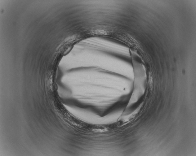 X0000062140552200601060926