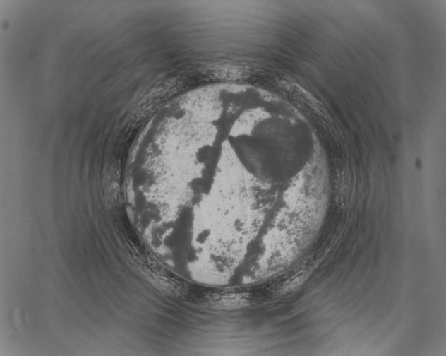 X0000062140553200601060926