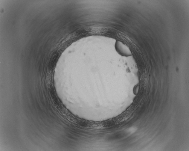 X0000062140554200601060926