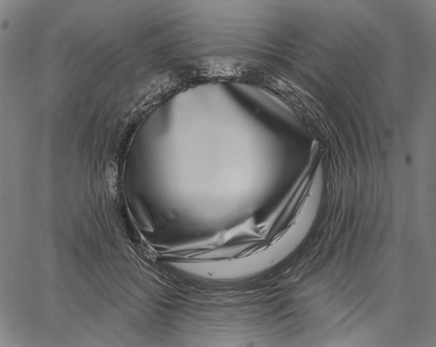 X0000062140556200601060926