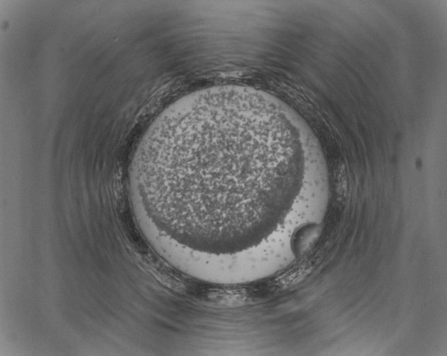 X0000062140559200601060926