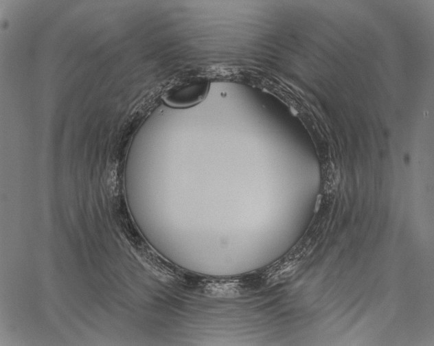 X0000062140560200601060926