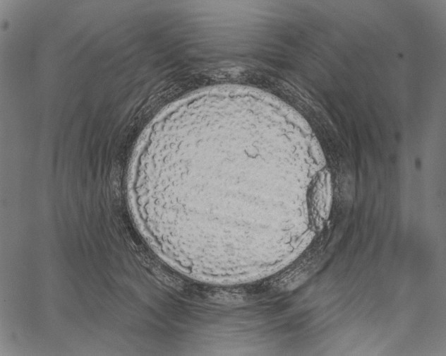 X0000062140561200601060926