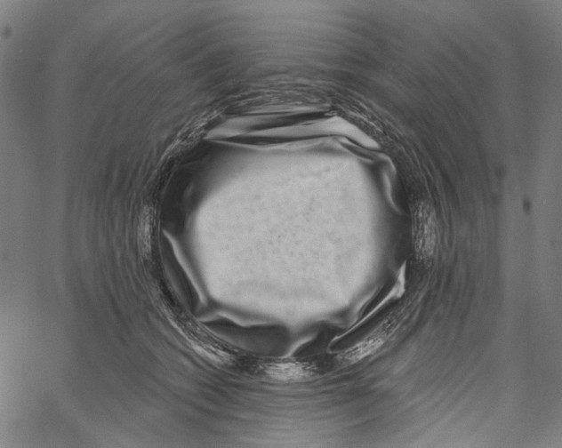 X0000062140562200601060926