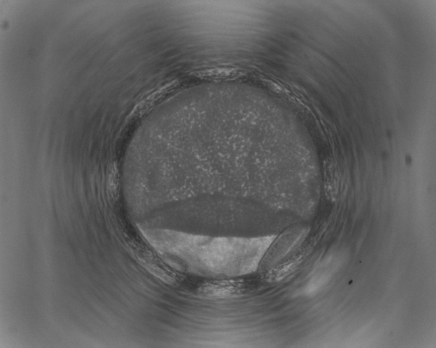 X0000062140563200601060926