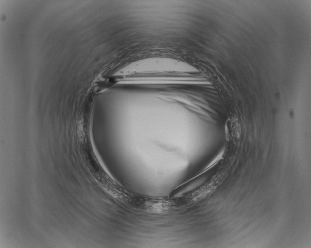 X0000062140564200601060926