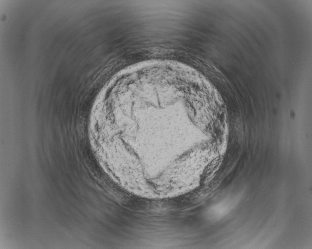 X0000062140565200601060926