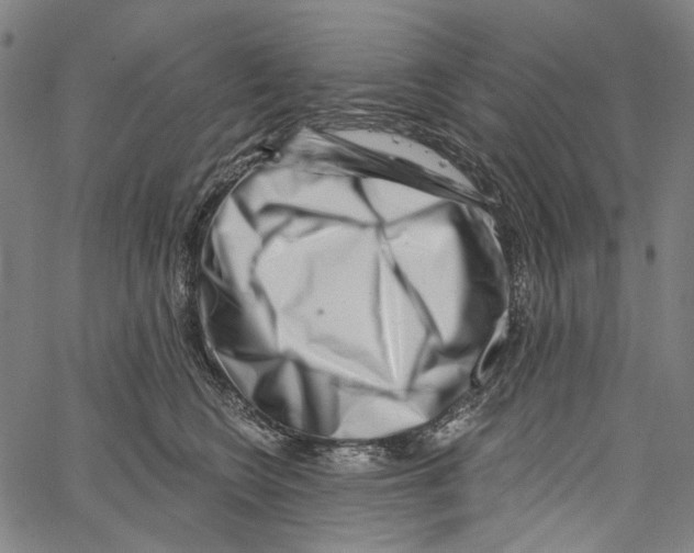 X0000062140566200601060926