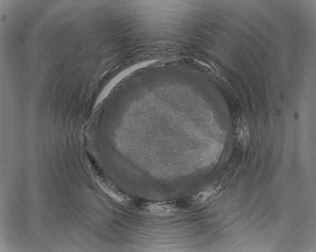 X0000062140568200601060926