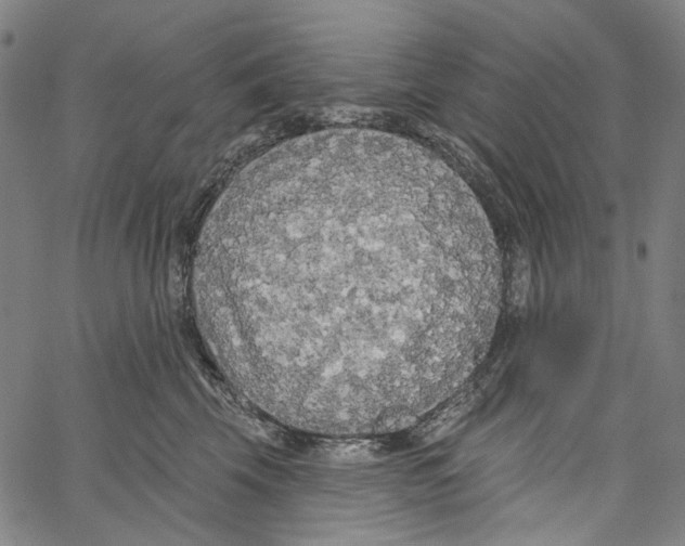 X0000062140569200601060926