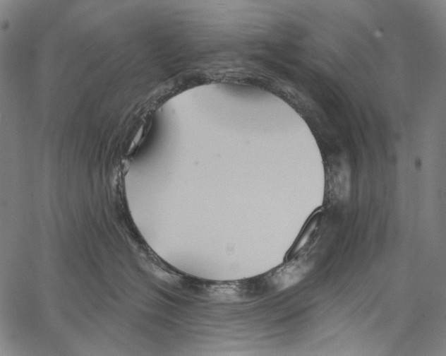 X0000062140574200601060926