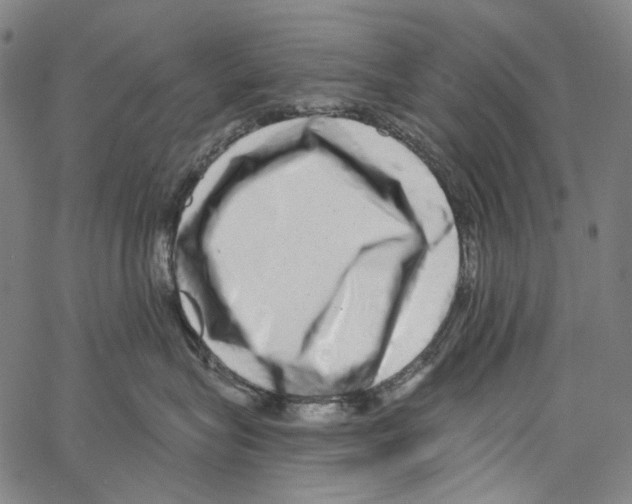 X0000062140575200601060926