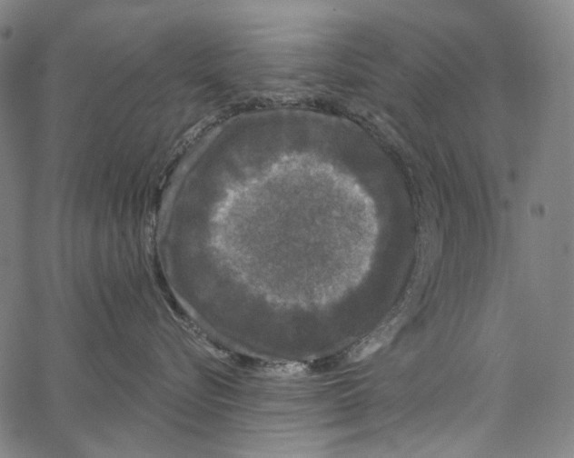 X0000062140576200601060926