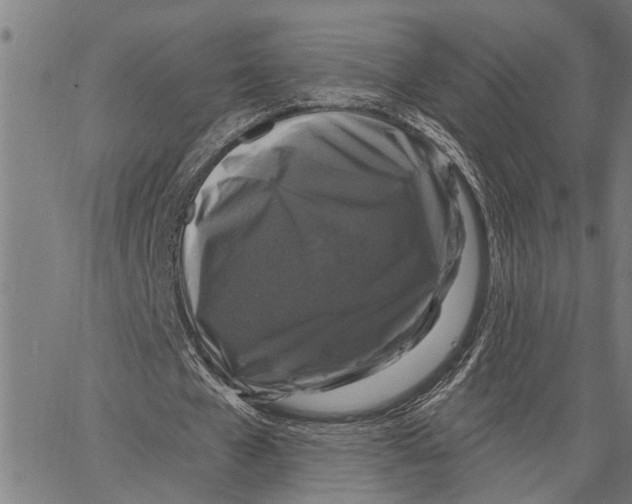 X0000062140577200601060925