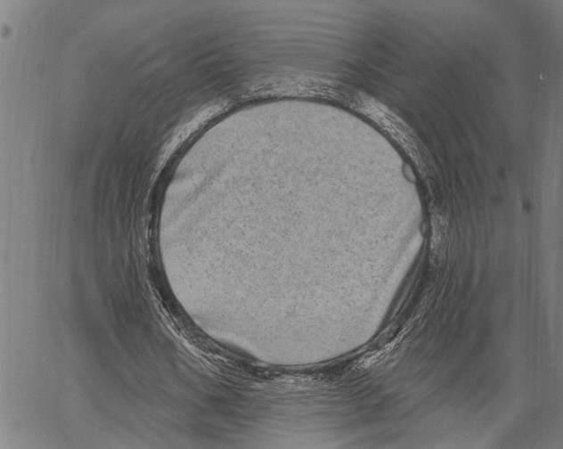 X0000062140578200601060925