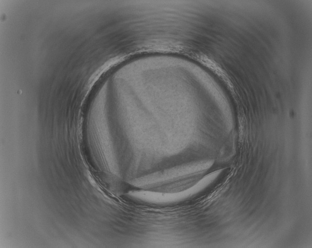 X0000062140580200601060925