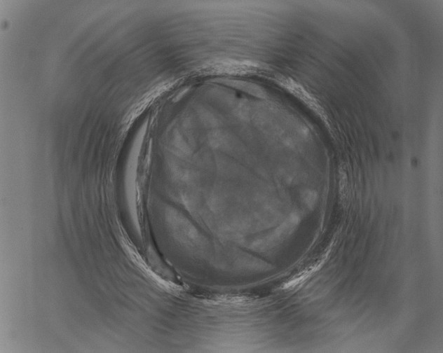 X0000062140581200601060925