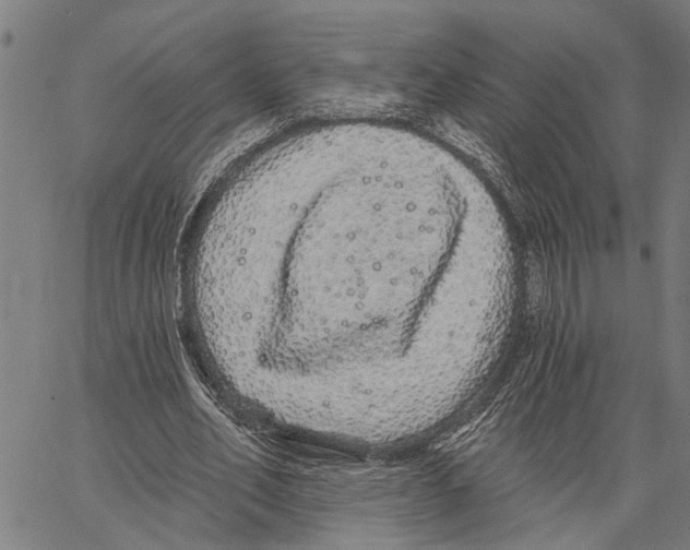 X0000062140582200601060925