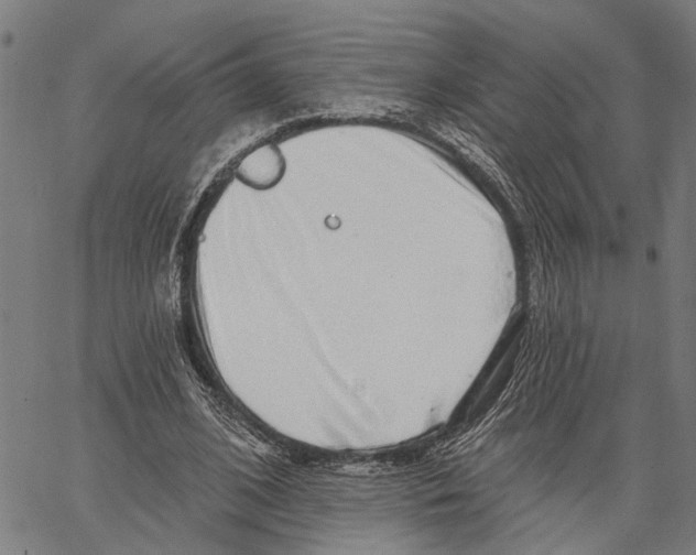 X0000062140584200601060925