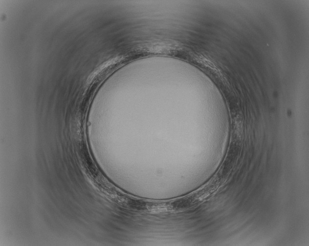 X0000062140587200601060925