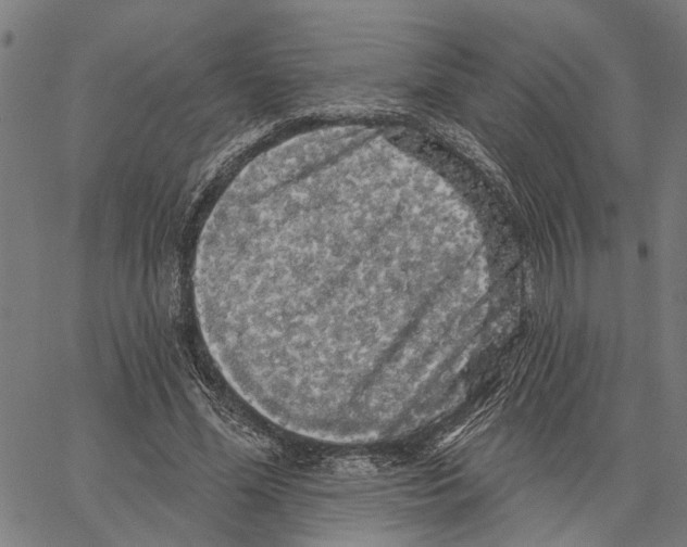 X0000062140588200601060925