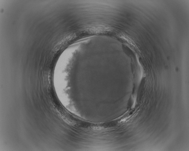 X0000062140590200601060925