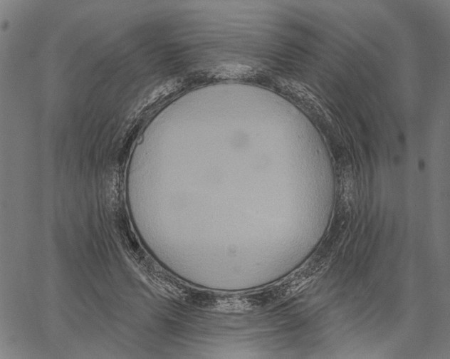 X0000062140591200601060925