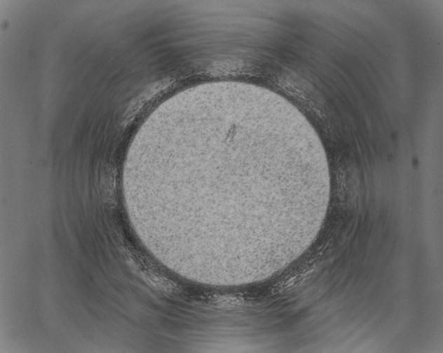 X0000062140592200601060925