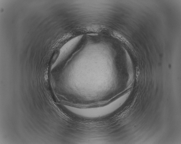 X0000062140593200601060925