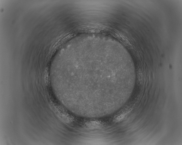 X0000062140594200601060925